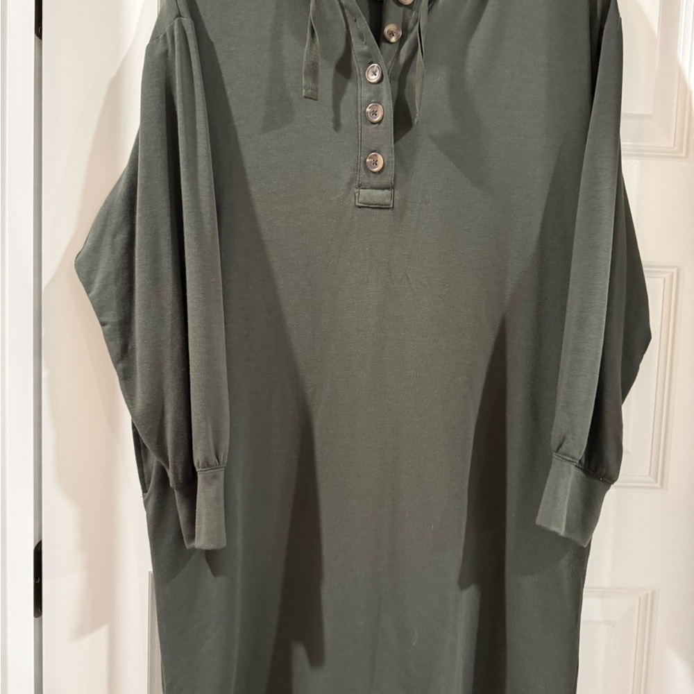 LOFT Women's Olive Button Down Shirt Dress